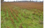 Property photo 51 - 80 Acres & Home - Property Offered in 4 Tracts from 2.3 to 30.0 Acres